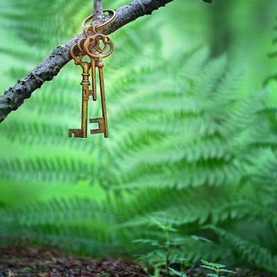 vintage gold key in forest tree. magical composition with beautiful key in nature, concept secret garden, grunge mystery background. banner for website.